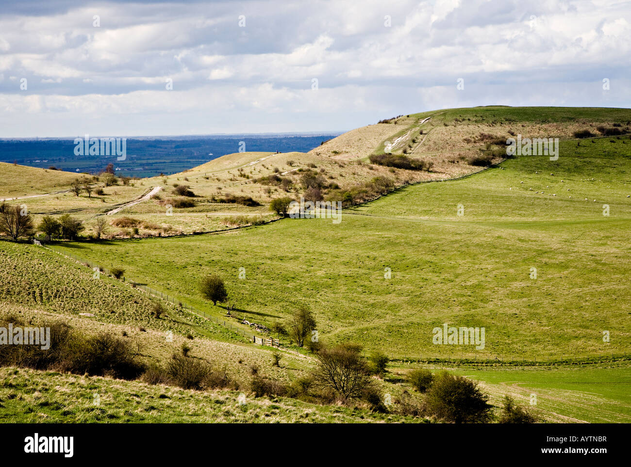Ivinghoe Beacon auf dem Fußweg der Icknield Way Buckinghamshire England UK Stockfoto
