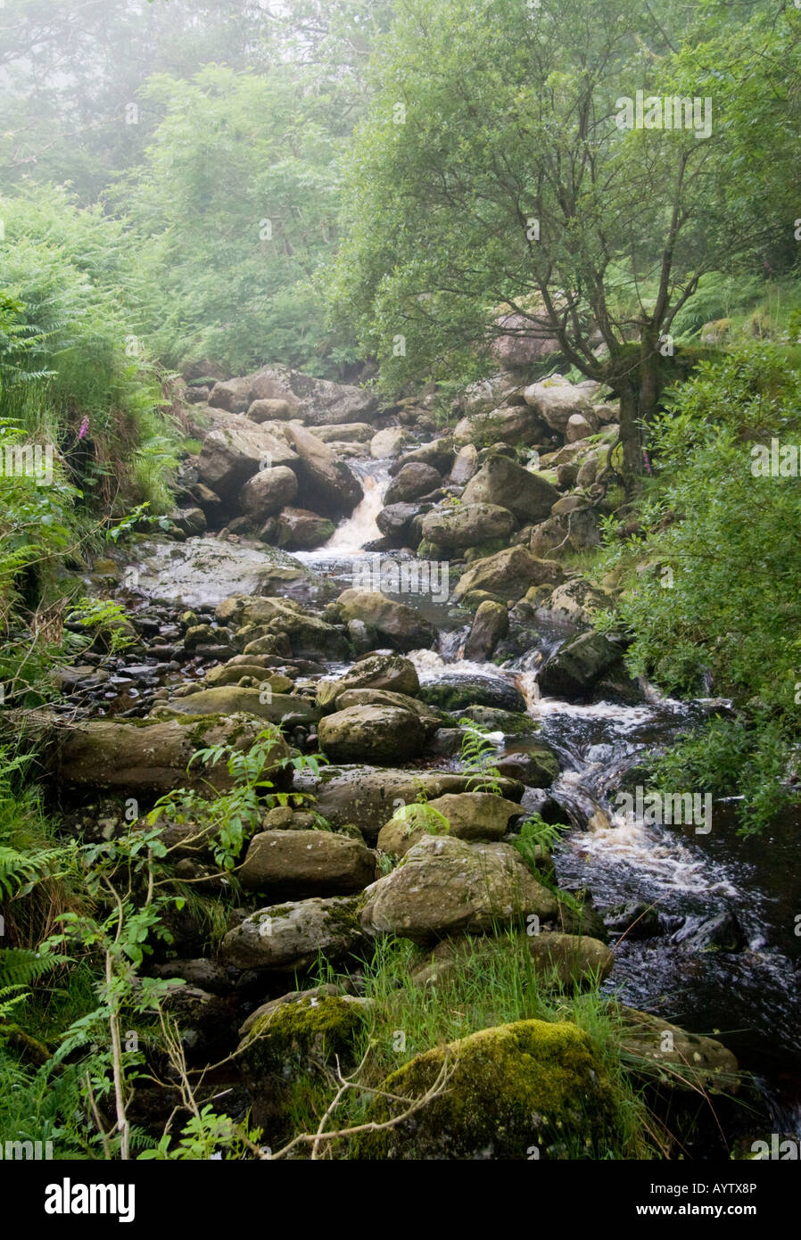 felsigen Stream in glenarm Stockfoto