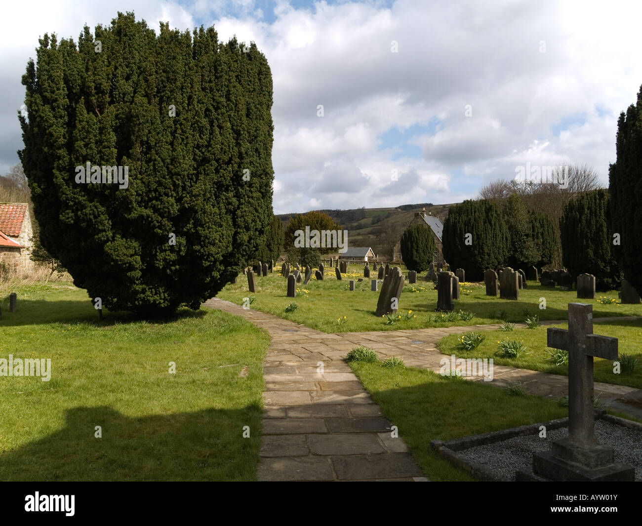 Friedhof mit Eiben in der Pfarrei Kirche von St Mary & St Laurence Rosedale Abbey North Yorkshire England Stockfoto