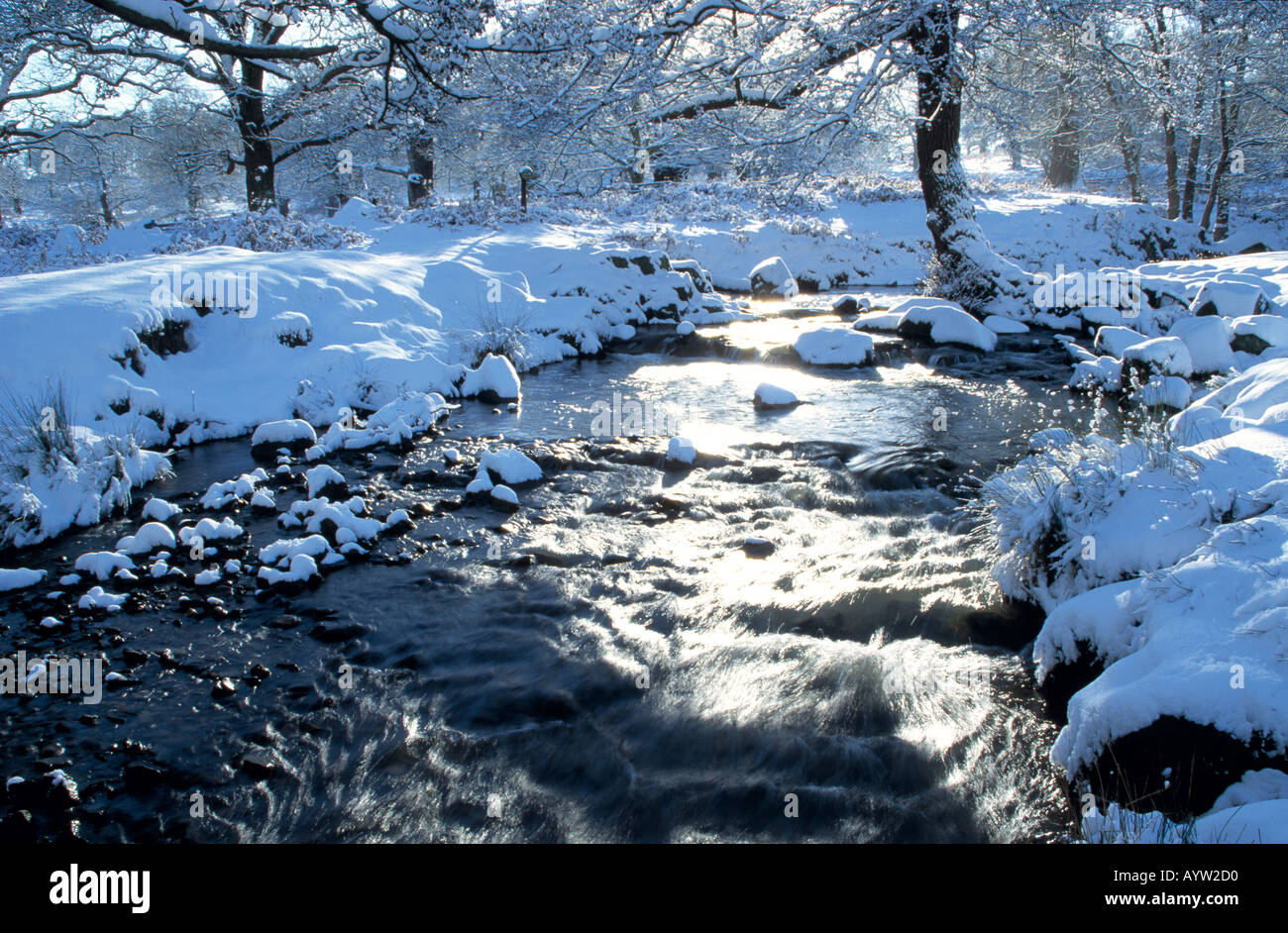 Winter Fluss und Schnee-Szene gegen das Licht am Bradgate Park, Leicestershire. Stockfoto