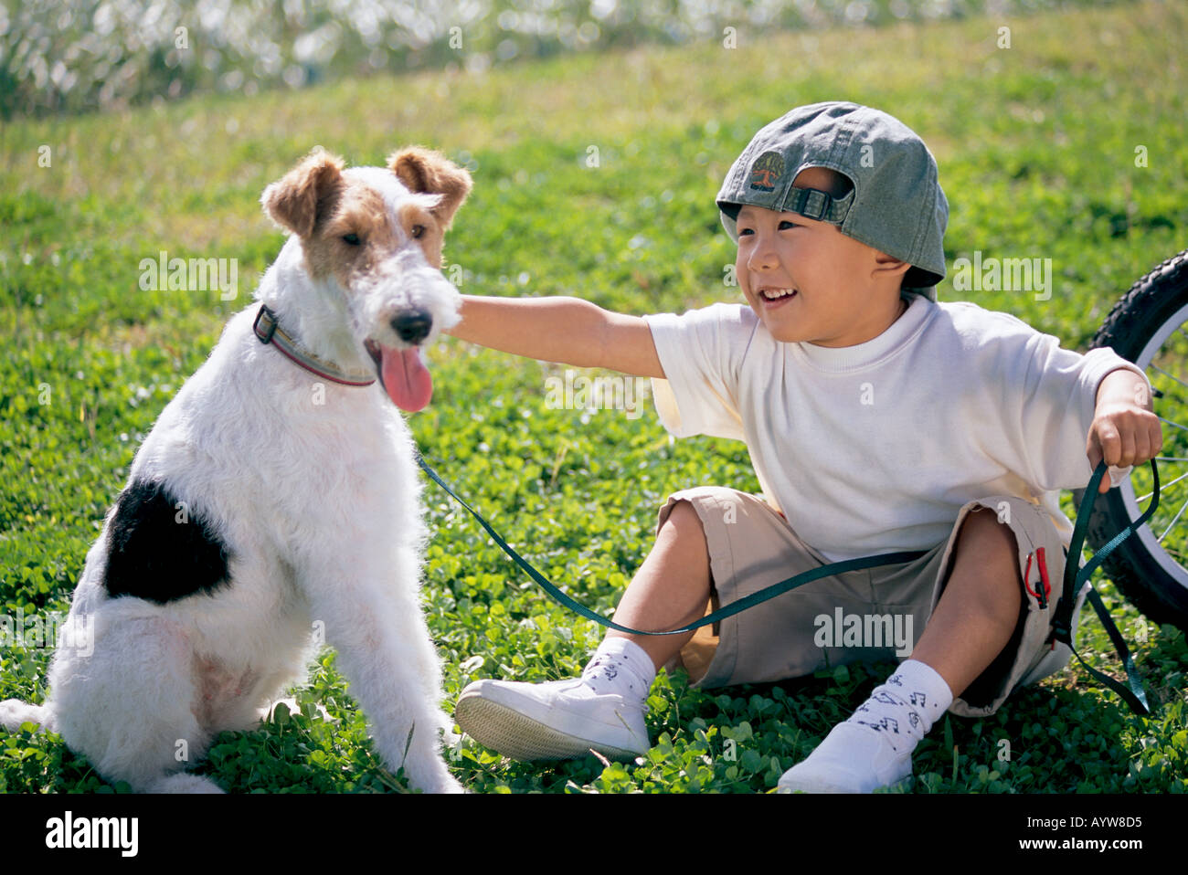Junge mit einem Hund Stockfoto