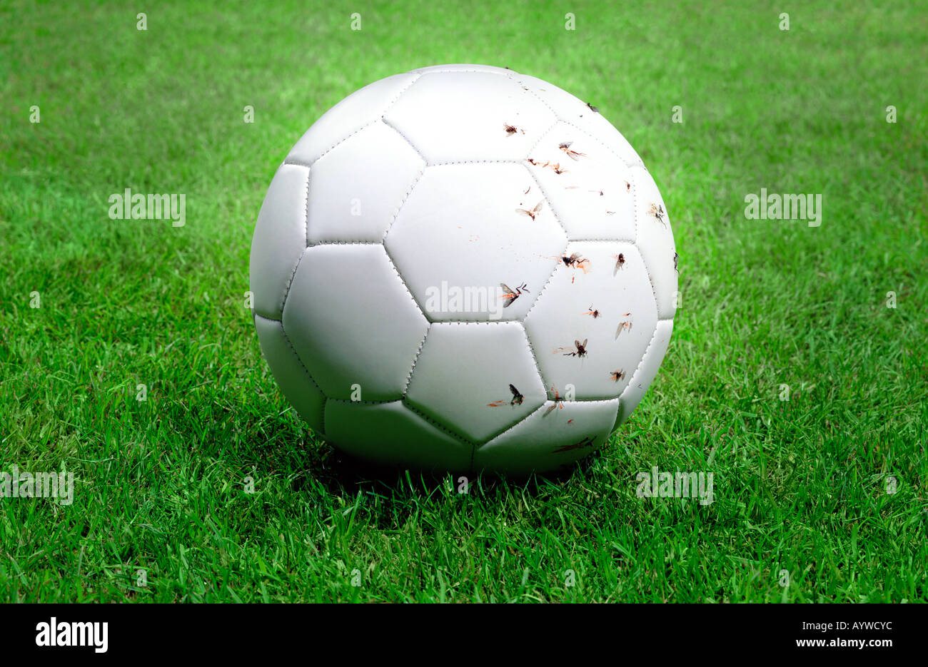 Ein weiße Fußball gekickt so hart es fliegt überall auf einer Seite hat. Stockfoto