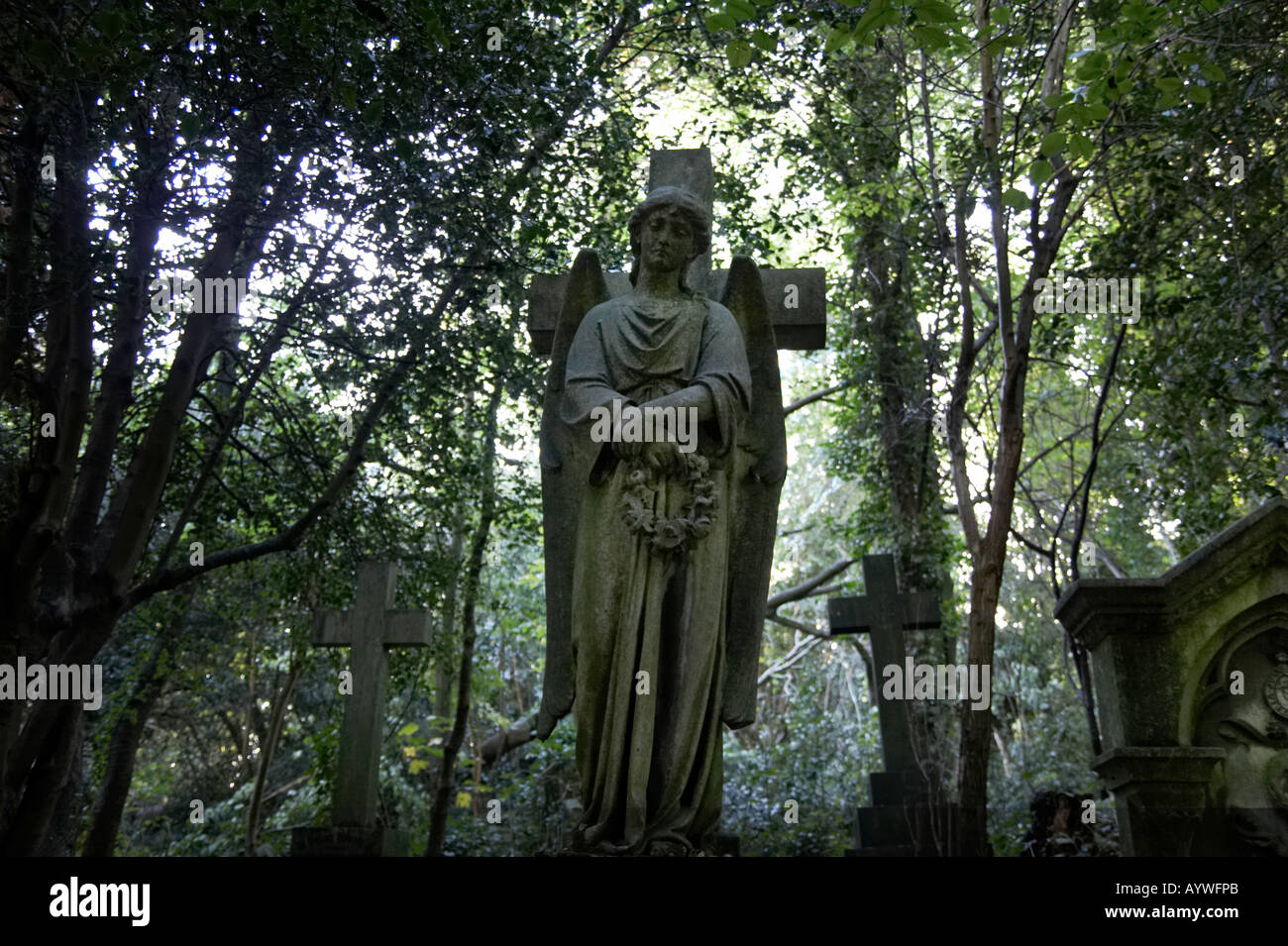 Engel-Statue auf dem Highgate Cemetery in London England Stockfoto