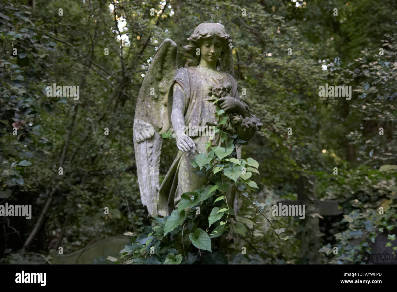 Engel-Statue auf dem Highgate Cemetery in London England Stockfoto