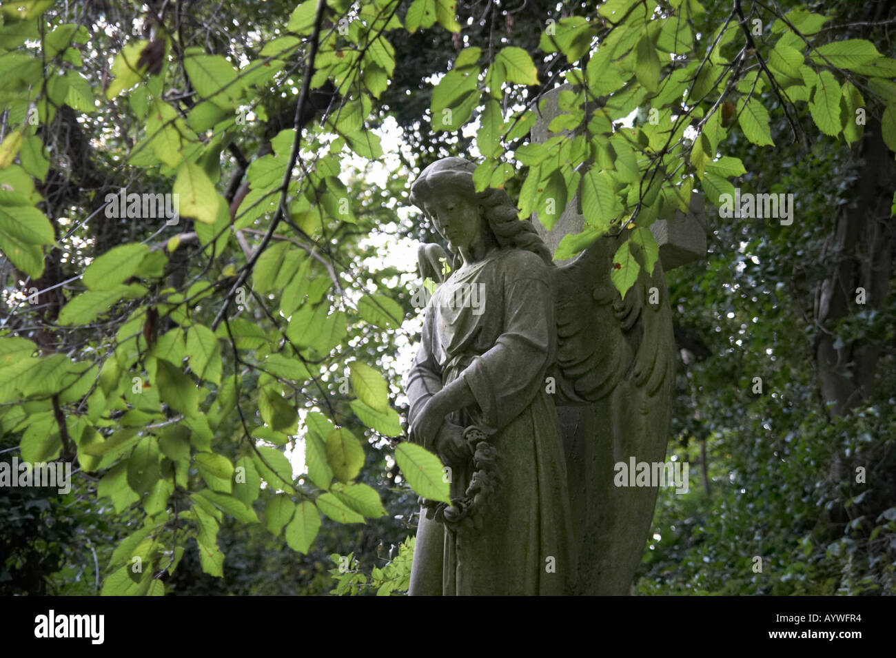Engel-Statue auf dem Highgate Cemetery in London England Stockfoto