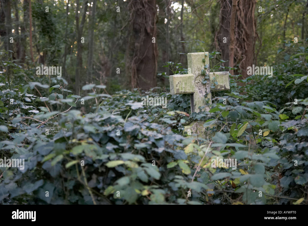 Highgate Cemetery in London UK Stockfoto