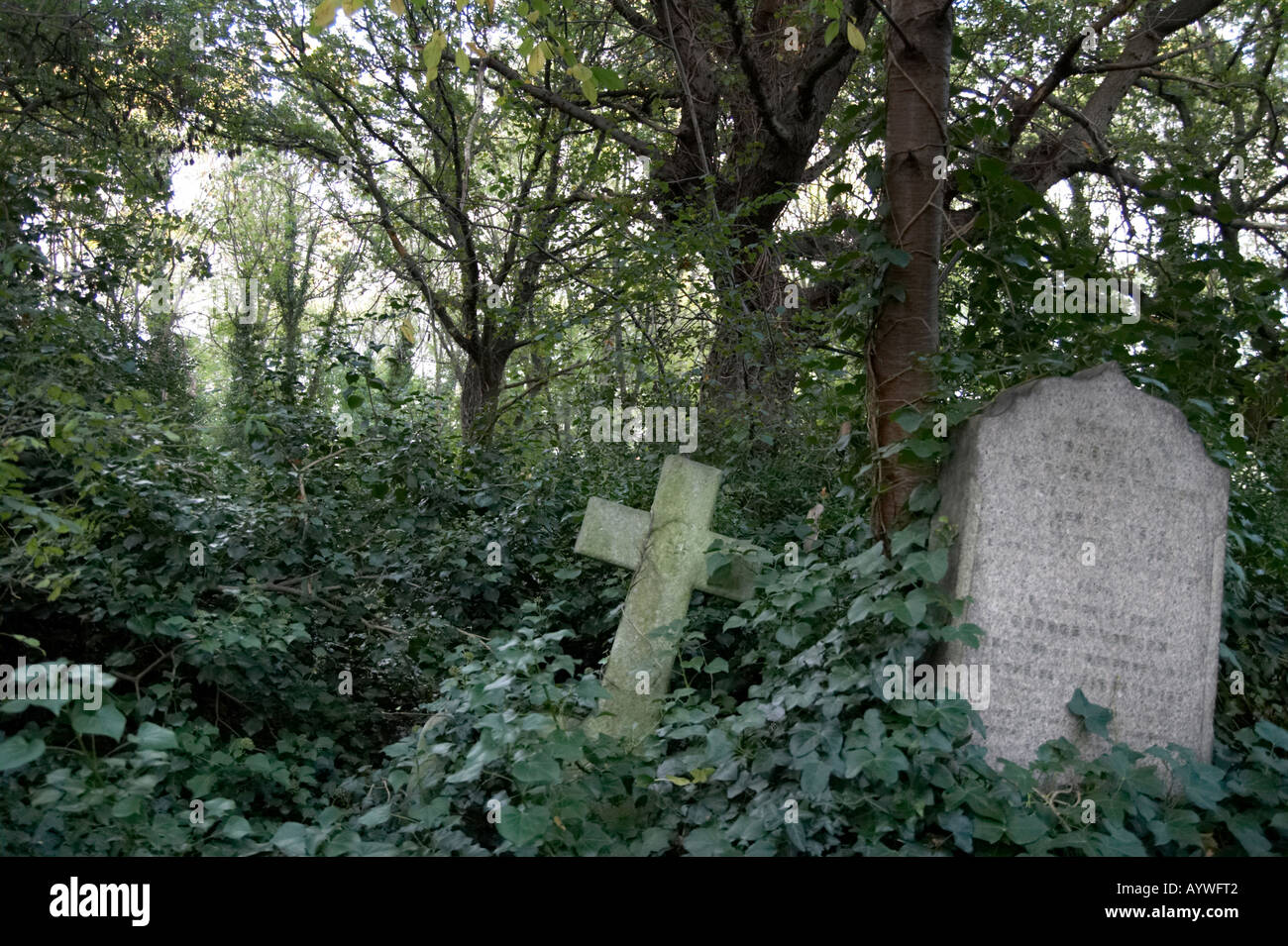 Highgate Cemetery in London UK Stockfoto