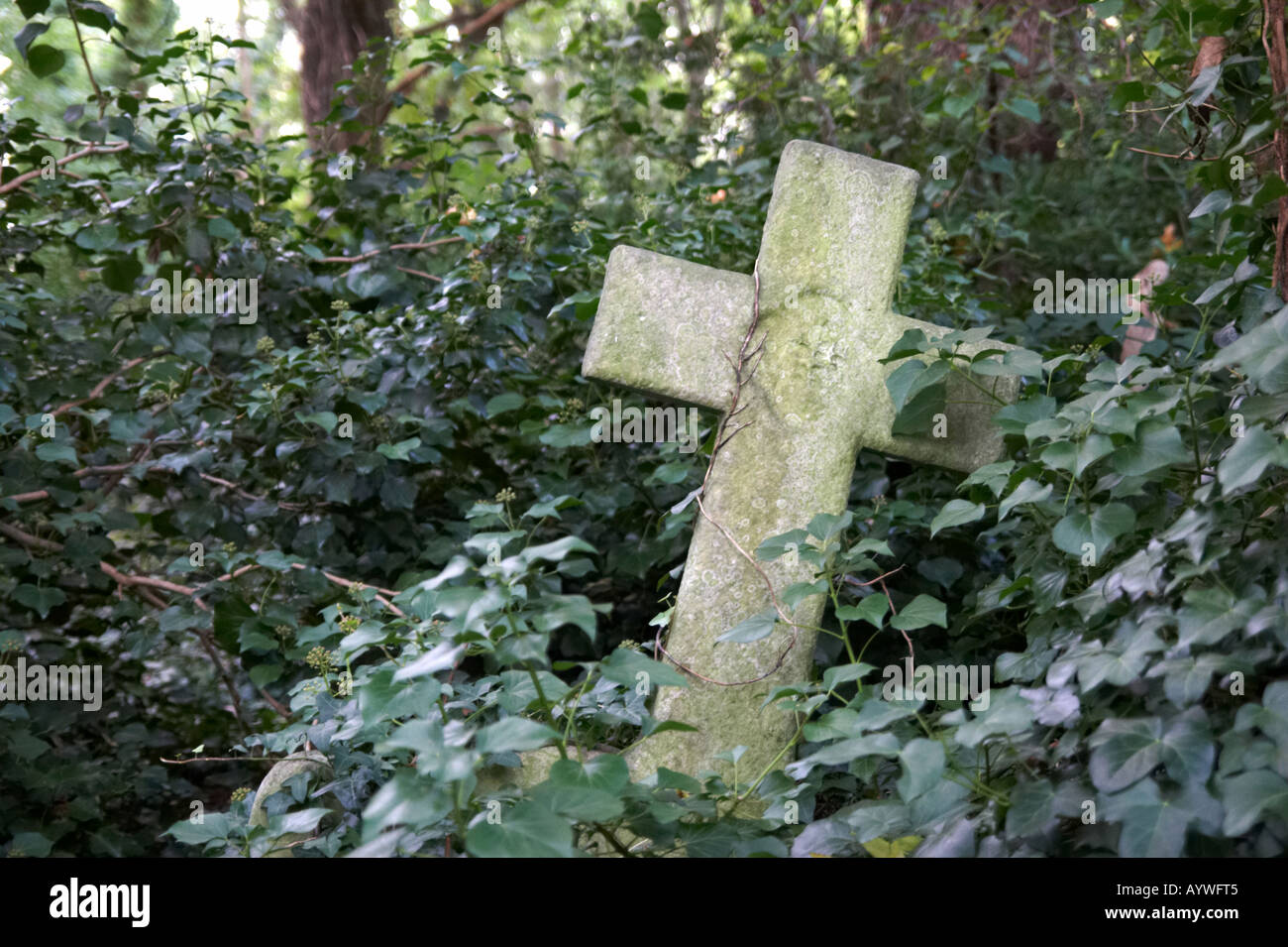 Highgate Cemetery in London UK Stockfoto