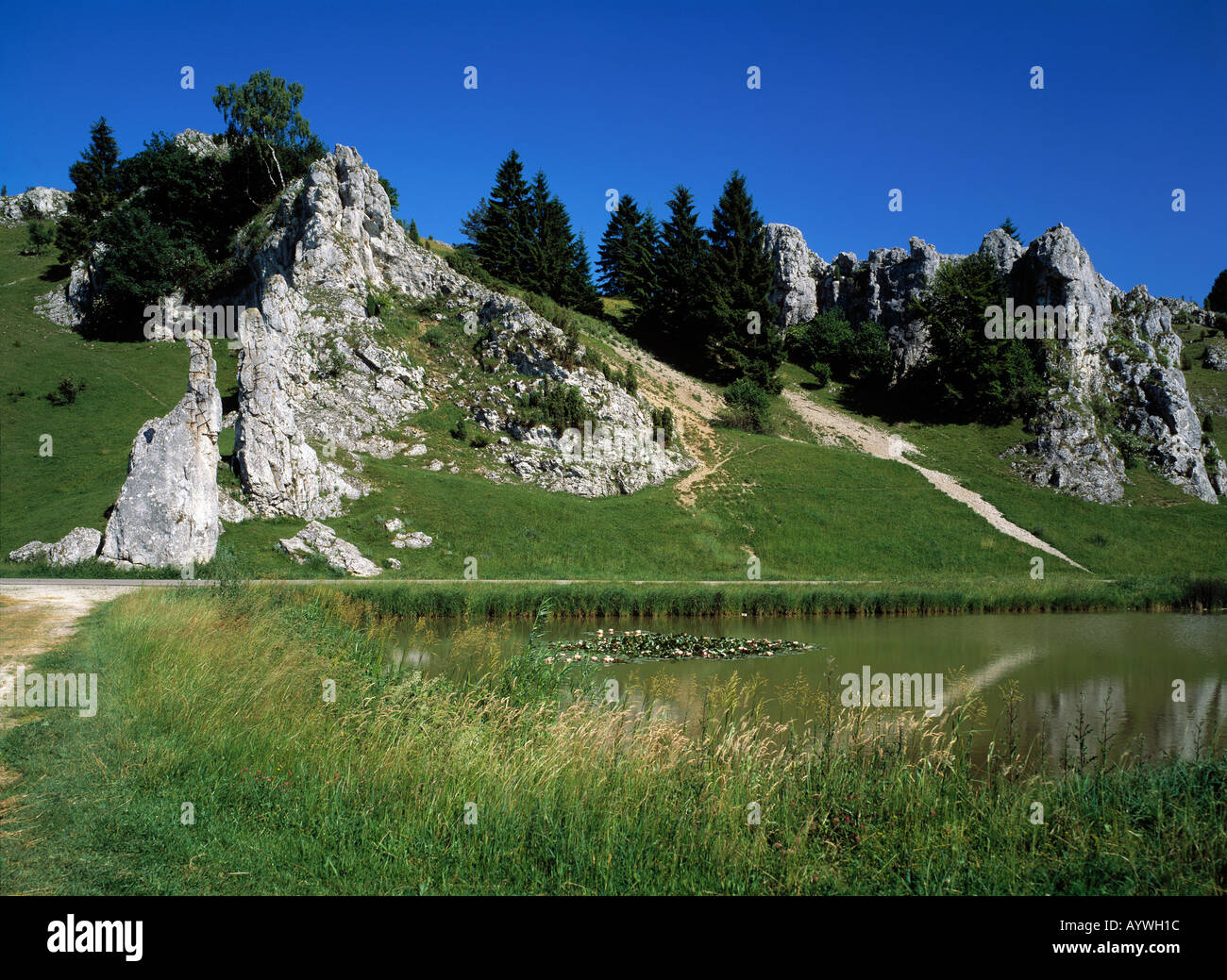 Biotope Eselsburger Tal, Felsenlandschaft, Teich Mit Seerosen