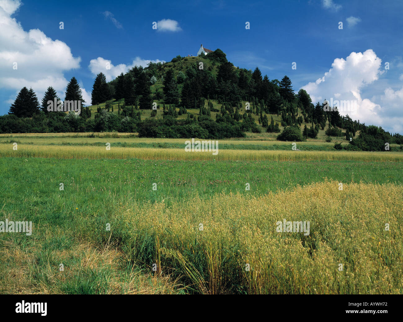 Salmendingen kapelle Fotos und Bildmaterial in hoher Auflösung Alamy