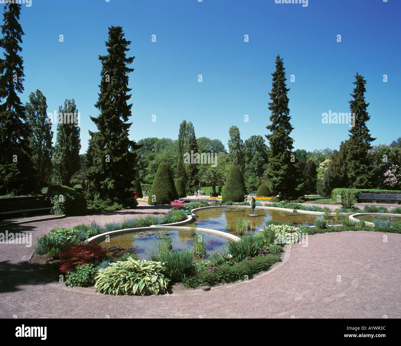 Parkanlage, botanischen Garten Berlin-Dahlem Stockfoto