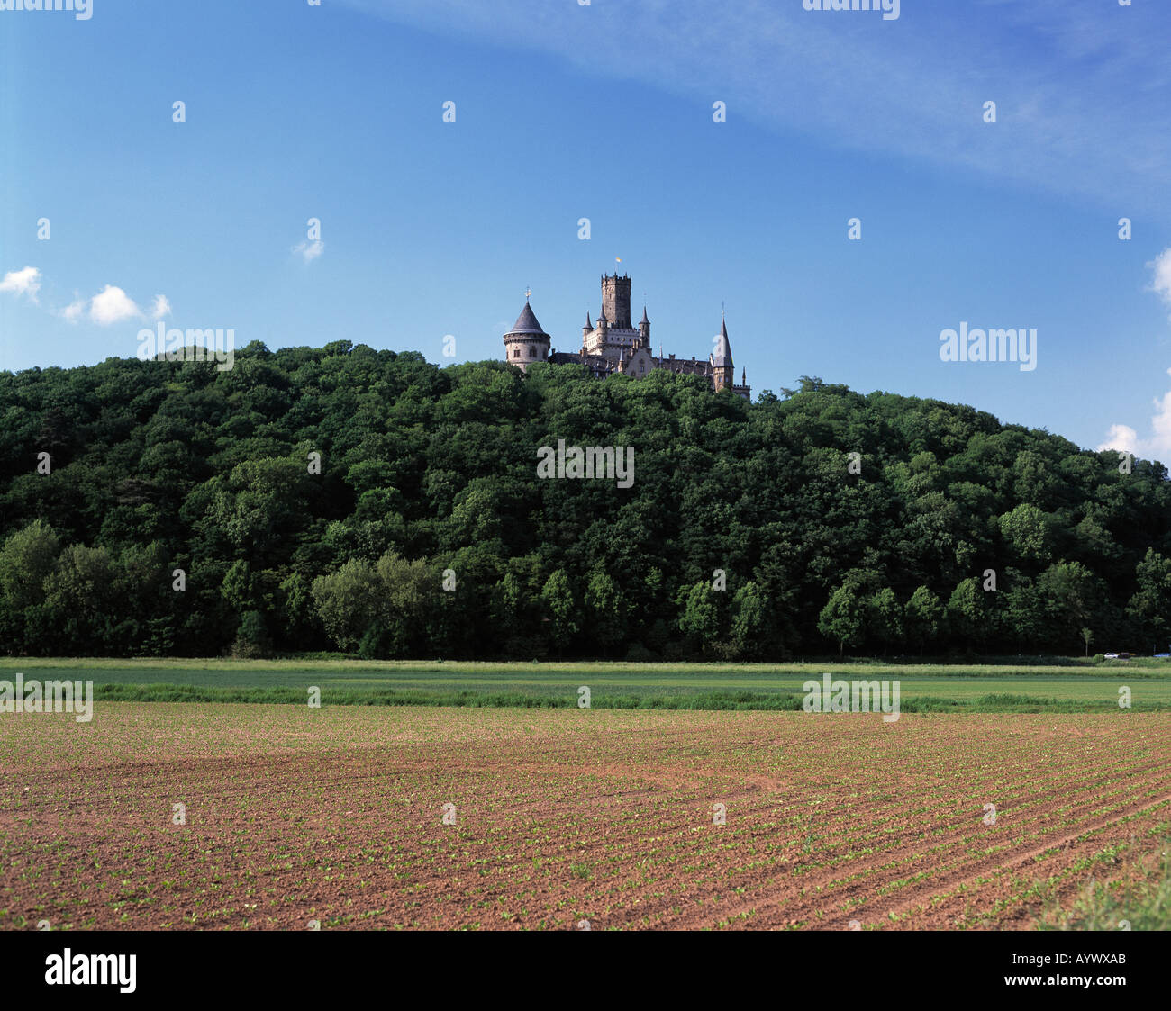 Marienburg Auf Einer Anhoehe schlug Einem Waldgebiet, Nordstemmen, Leinetal, Niedersachsen Stockfoto