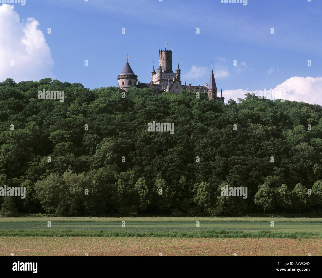 Marienburg Auf Einer Anhoehe schlug Einem Waldgebiet, Nordstemmen, Leinetal, Niedersachsen Stockfoto