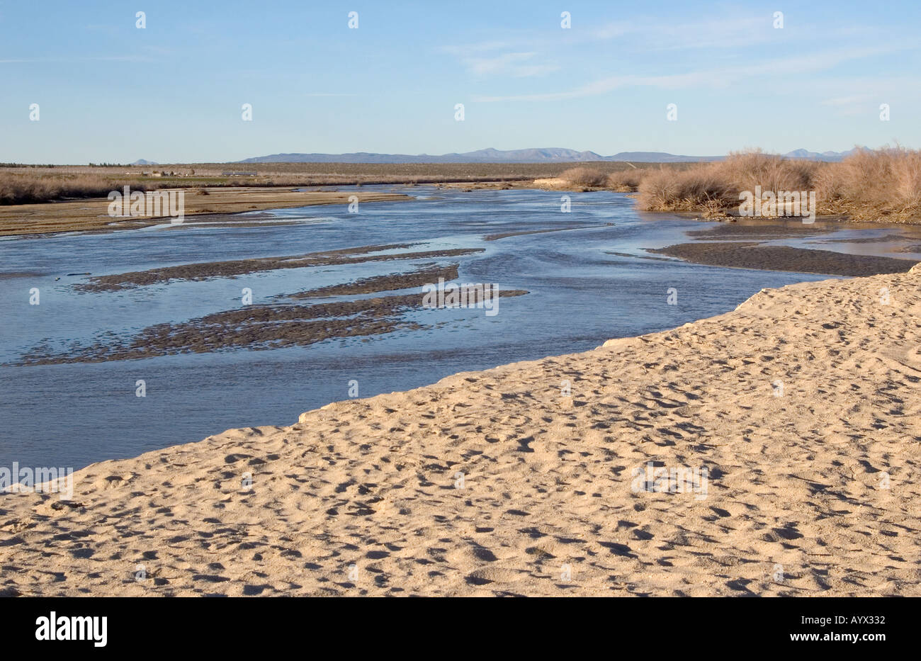 Mojave-Fluss bei Hochwasser 1 Stockfoto