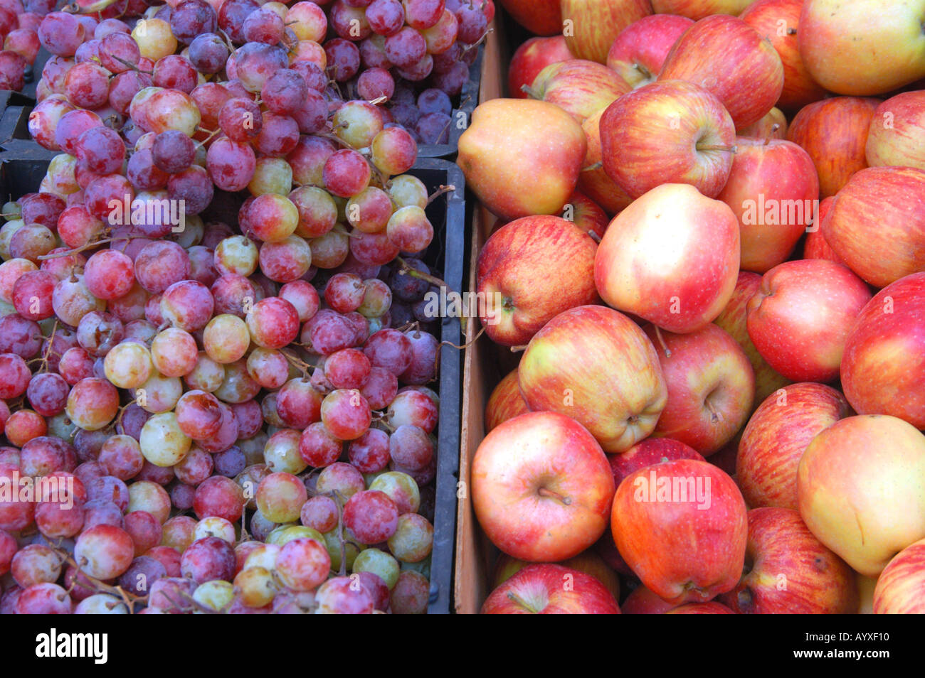 Fruit Market In Amman Stockfotos Und Bilder Kaufen Alamy