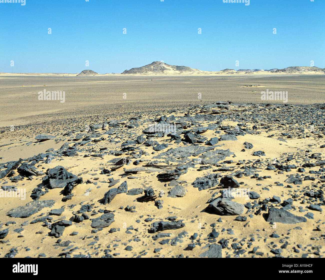 Wuestenlandschaft in der Westlichen Wüste Bei Abu Simbel, Oberaegypten Stockfoto