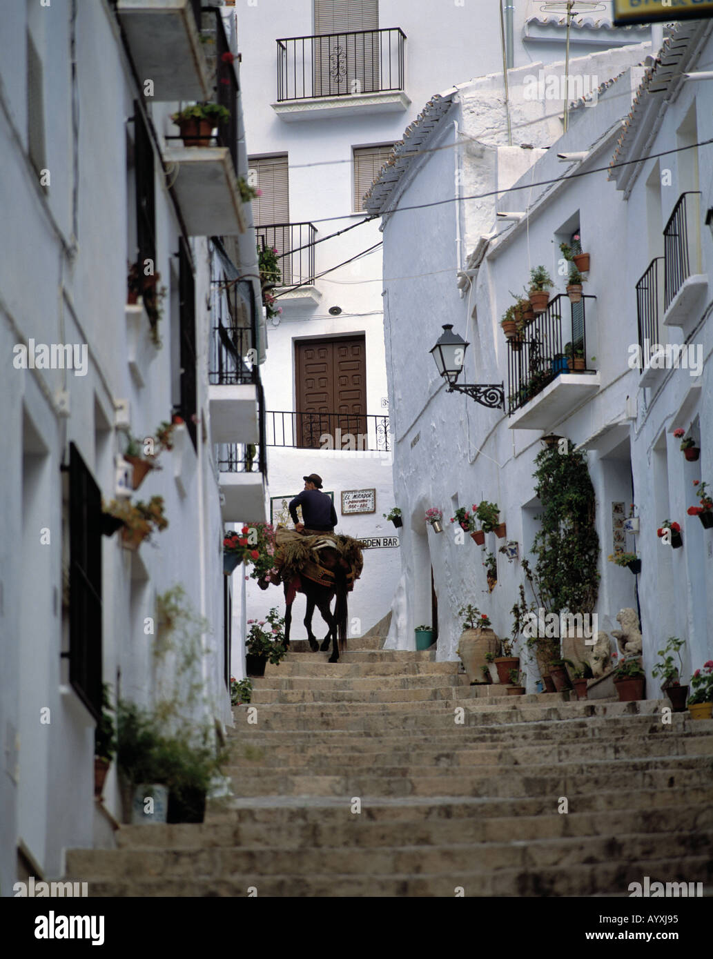 Staelebank Enge Gasse, Weisse Haeuser, Weisse Stadt, Mann Reitet Auf Einem Pferd in Einer Engen Gasse Eine Staelebank Treppe Mindestverzehr, Frigiliana, Malaga, Andal Stockfoto