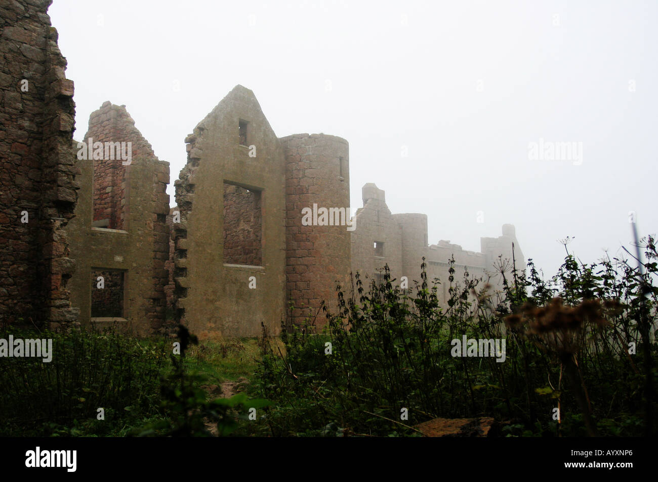 Moody Slains Castle nördlich von Aberdeen in Schottland an einem nebligen Herbsttag Stockfoto