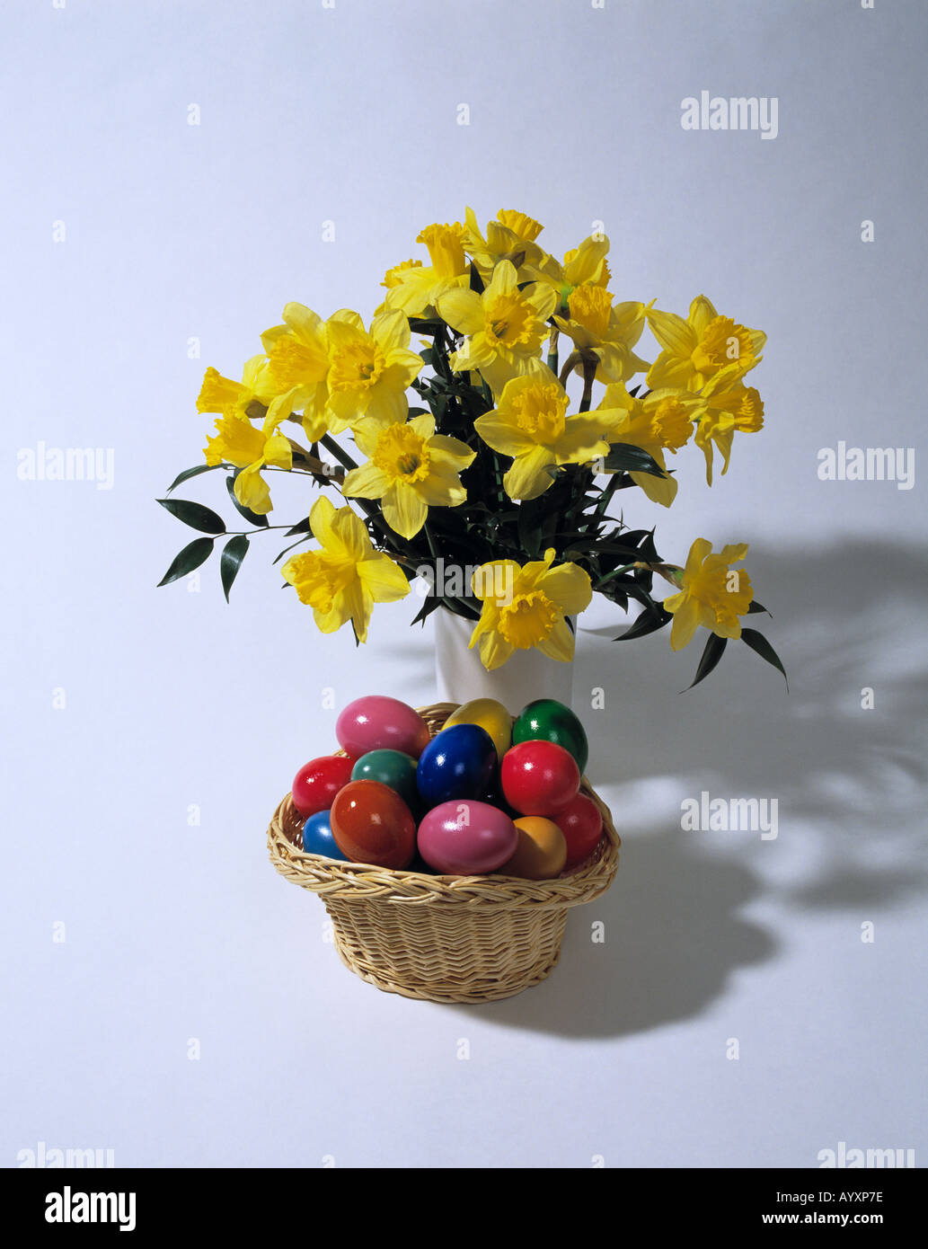 Feiertag, Feiertag, zu Ostern, Haufen von Narzissen, Narzisse, Blumen, Blumen, Pflanze, Pflanzen Leben, Flora, bunten Eiern in einen Korb, Ostereier, Symbol, Symbol, Symbolik Stockfoto