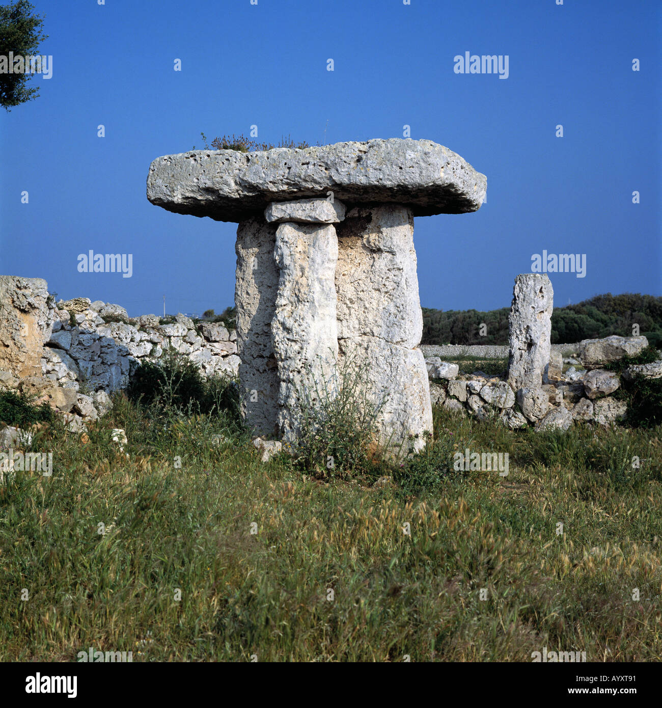 Megalith-Denkmal, Taula, Praehistorisch, Steinzeit, Torre Trencada, Menorca, Balearen Stockfoto