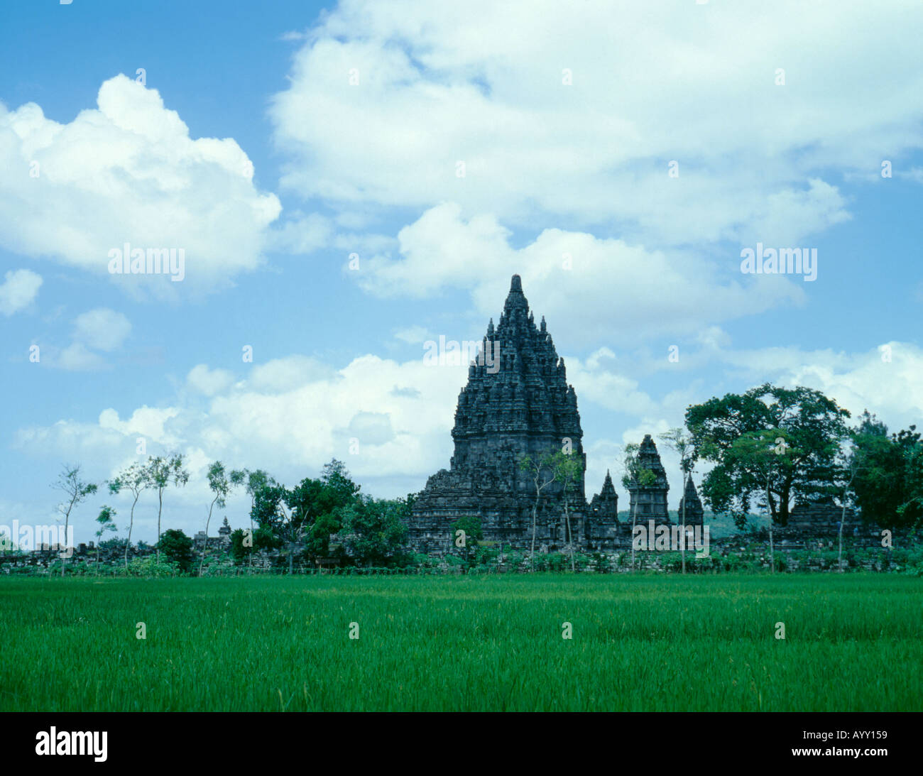 Prambanan Tempel auf Reisfelder gesehen, in der Nähe von jogjakarta, Java, Indonesien, Asien. Stockfoto