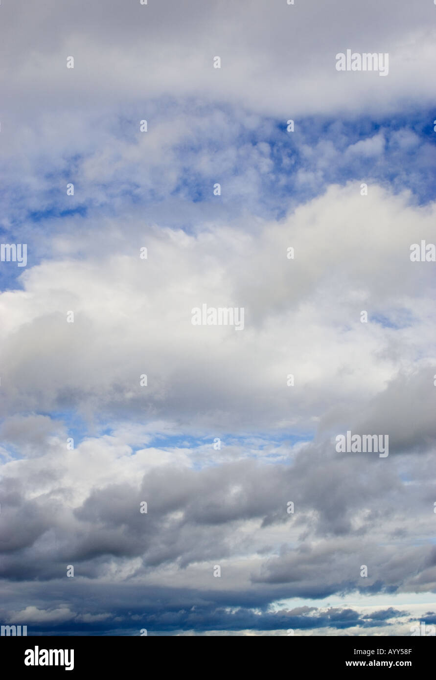 Blauer Himmel mit flauschigen weißen Cumulus-Wolken Stockfoto
