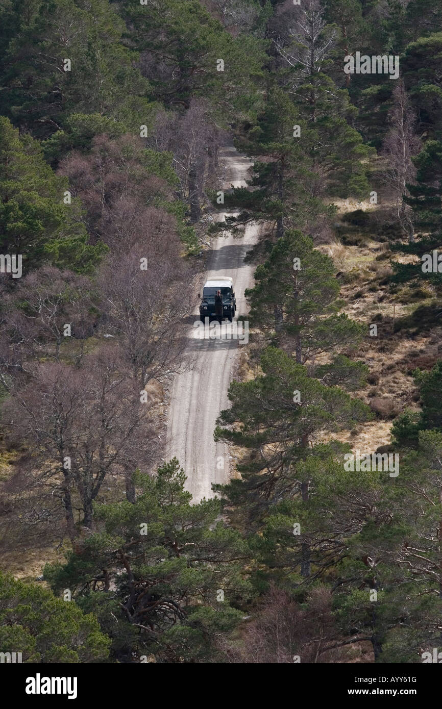 Land Rover auf Steig durch den Wald auf Alladale Anwesen, mit Deerstalker Wildbeobachtung, Alladale, Schottland Stockfoto