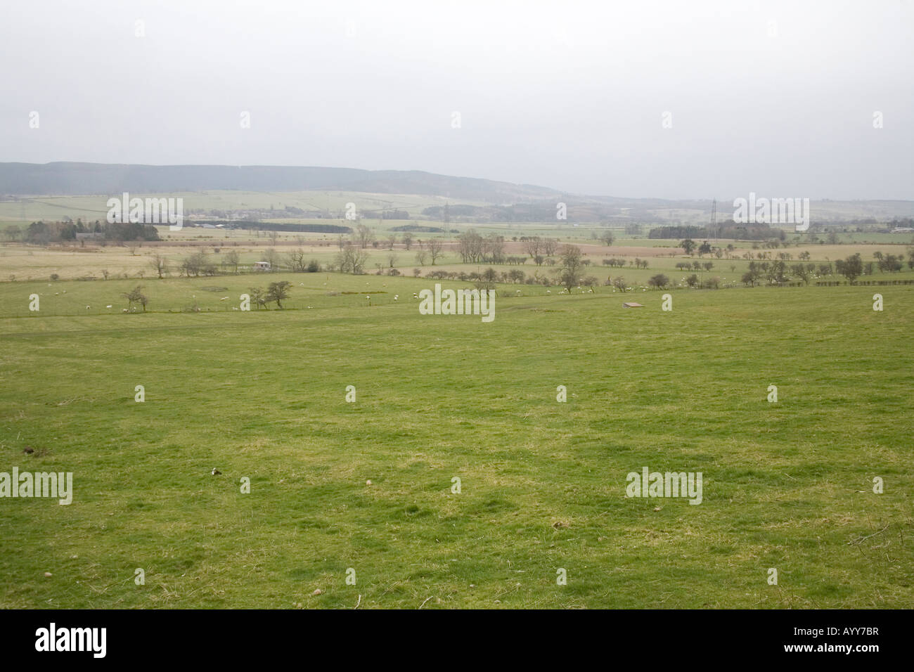 Die nebligen ländlichen Felder um Glanton in Northumberland, England Stockfoto