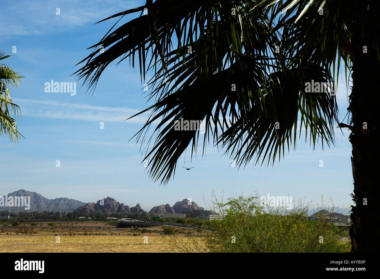 umgebenden Wüstenlandschaft außerhalb Tempe AZ Stockfoto