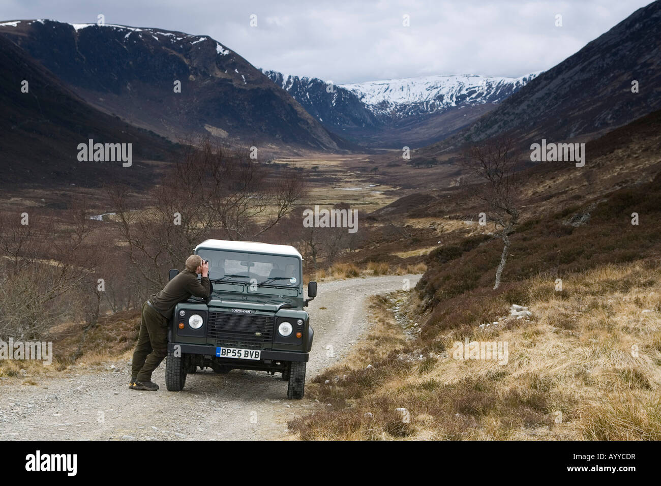 Alladale Stalker David Clark beobachtete Rothirsch neben Landrover, Alladale Estate, Schottland Stockfoto