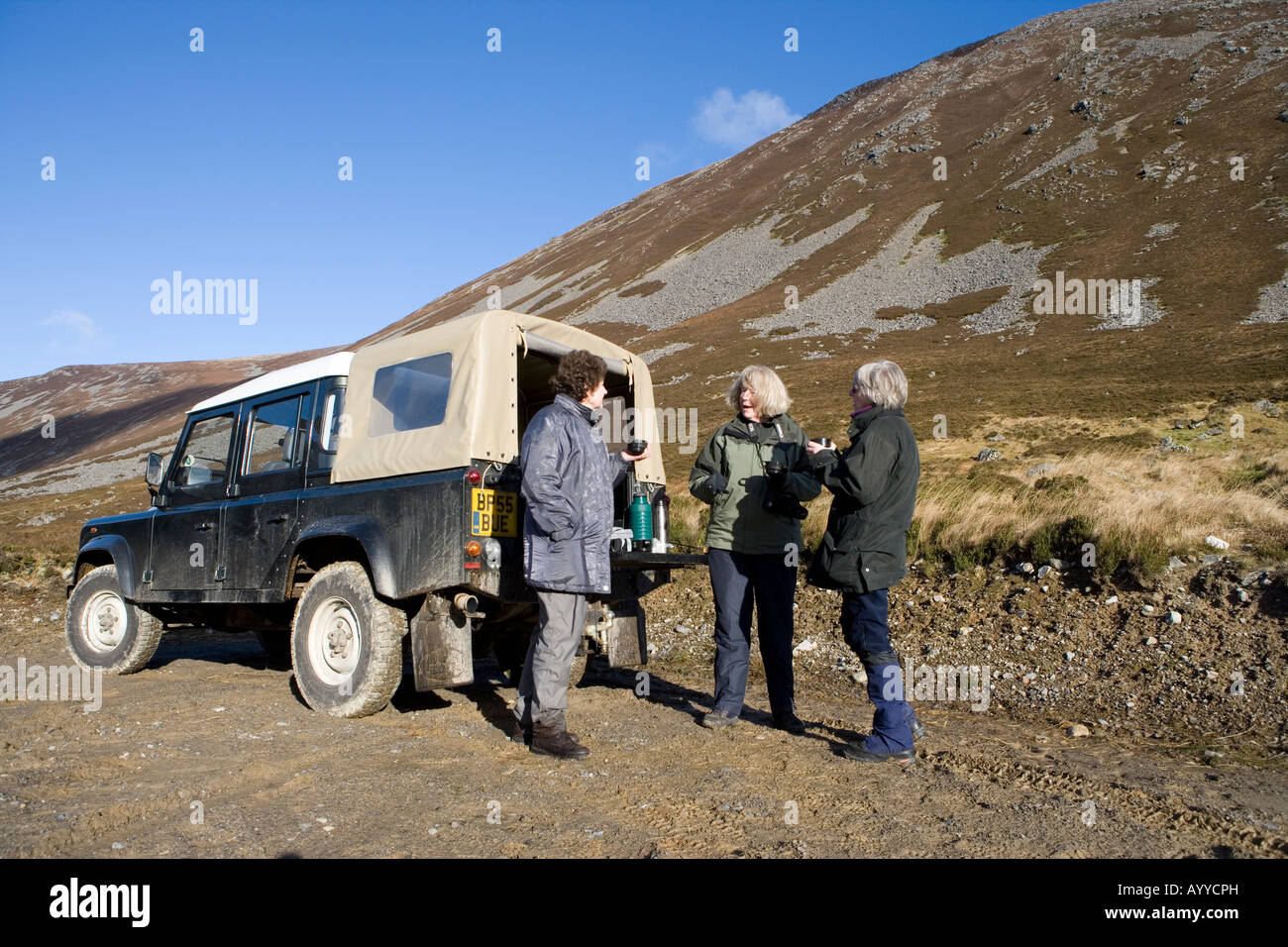 Gäste fotografieren Rothirsch mit Teepause neben Landrover, Alladale Estate, Schottland Stockfoto