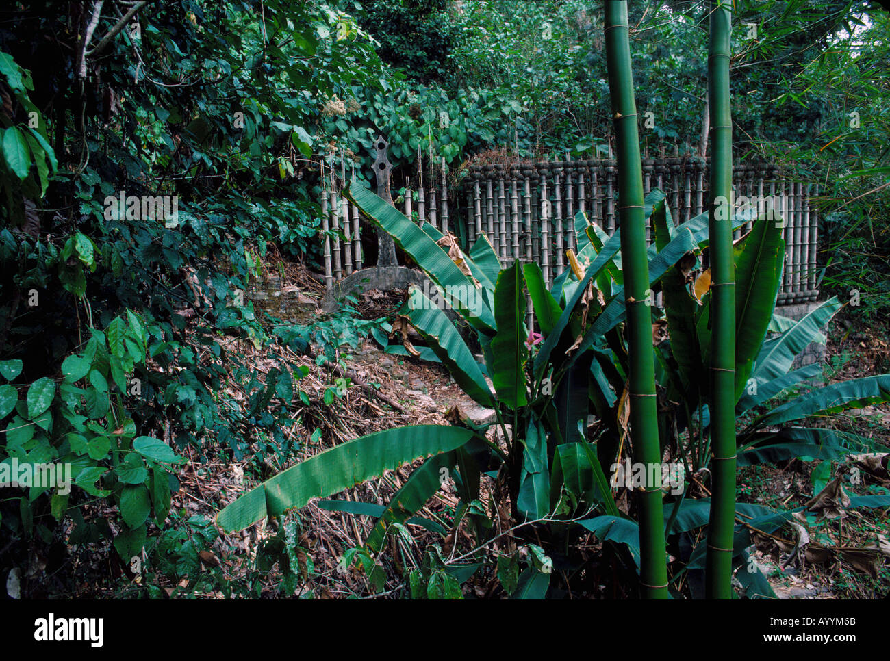 Mexiko, Xilitla in San Luis Potosi Zustand, Torheiten im Dschungel von der englische Aristokrat Edward James Stockfoto