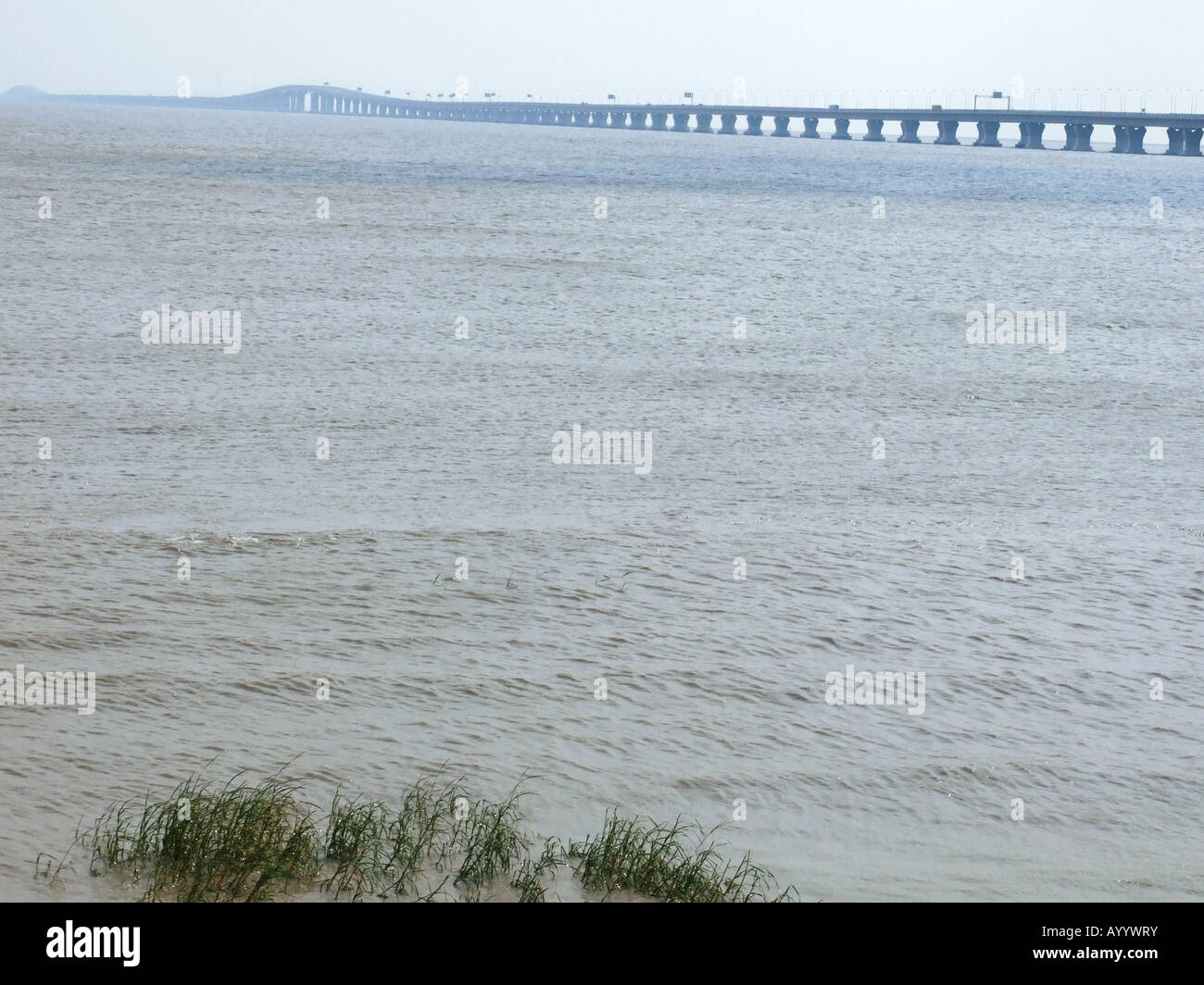 Ansicht von Donghai Bridge von Lingang New City in der Nähe von Shanghai China gesehen Stockfoto