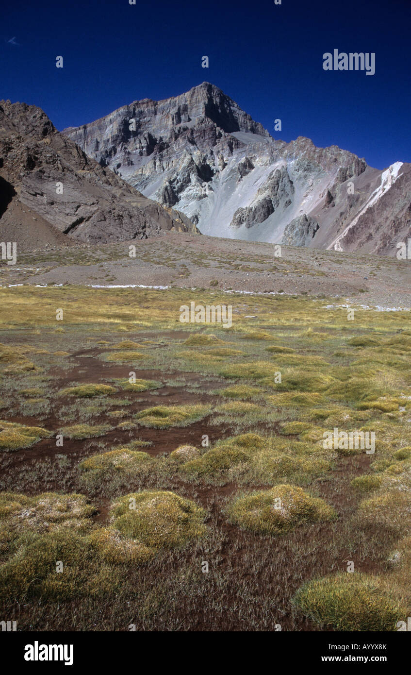 Sumpfigen Boden im oberen Horcones-Tal, Aconcagua Provincial Park, Argentinien Stockfoto