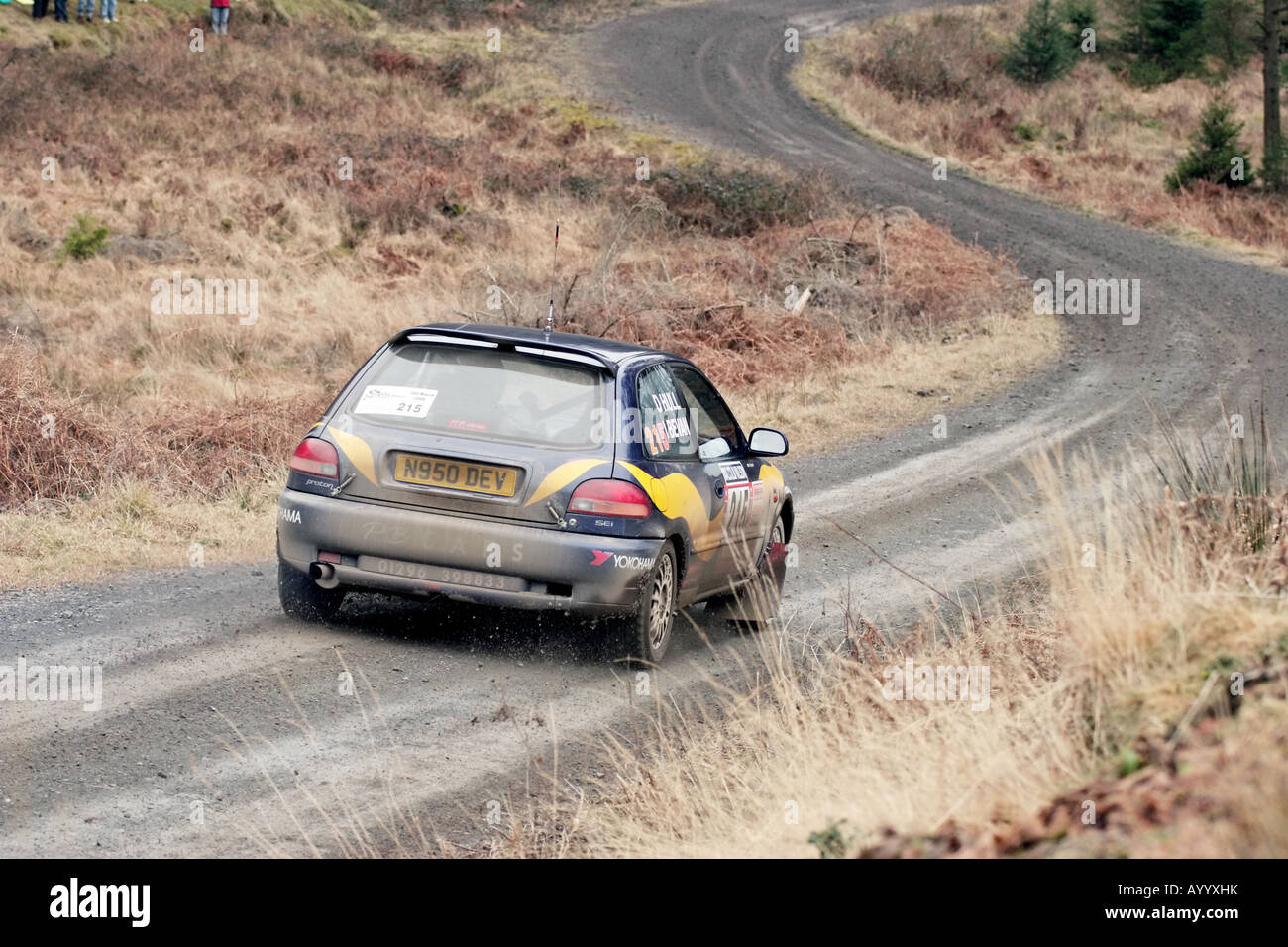 Rallye Auto beschleunigt um die Ecke an der Malcolm Wilson Rallye, Lake District, Cumbria, England Stockfoto