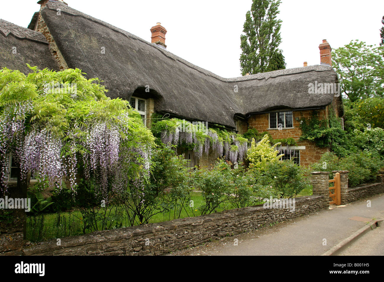 Oxfordshire wenig Tew Wisteria bekleideten Nr. Ofen Cottage Stockfoto