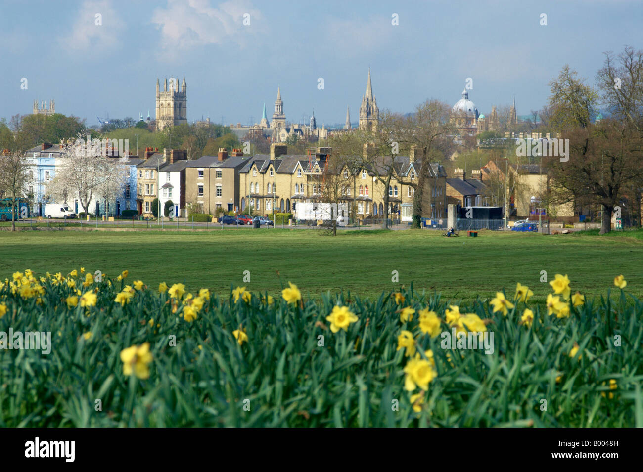 Frühlingsblumen in South Parks, Oxford, England Stockfoto