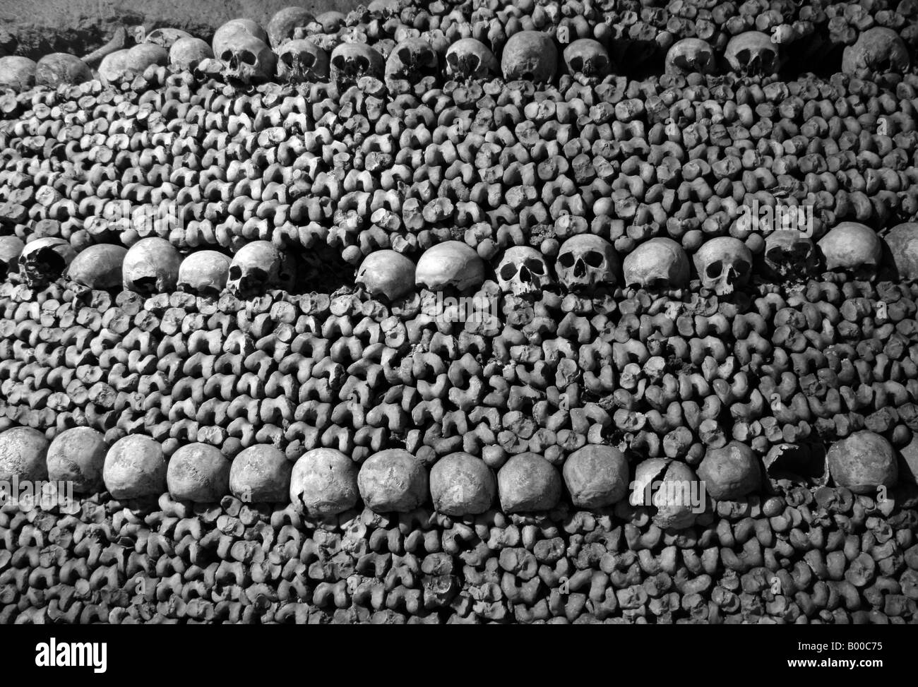Reihen von Schädeln und Knochen in die unterirdischen Katakomben, Paris. Stockfoto
