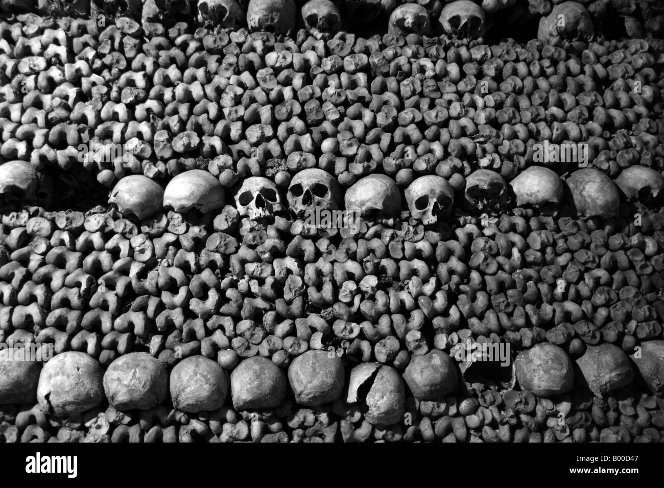 Reihen von Schädeln und Knochen in die unterirdischen Katakomben, Paris. Stockfoto
