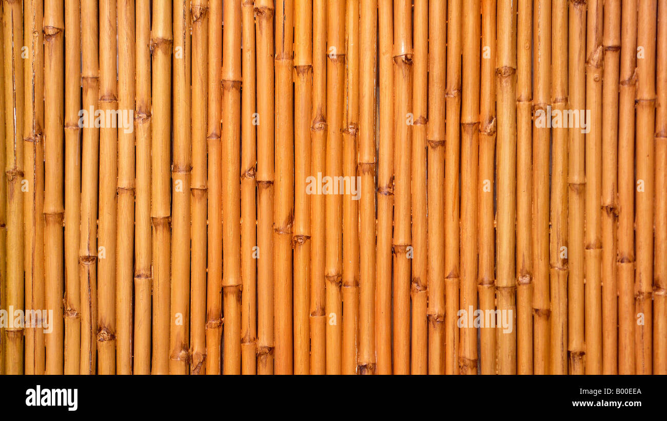 Leere Asian Bamboo Wand. Stockfoto