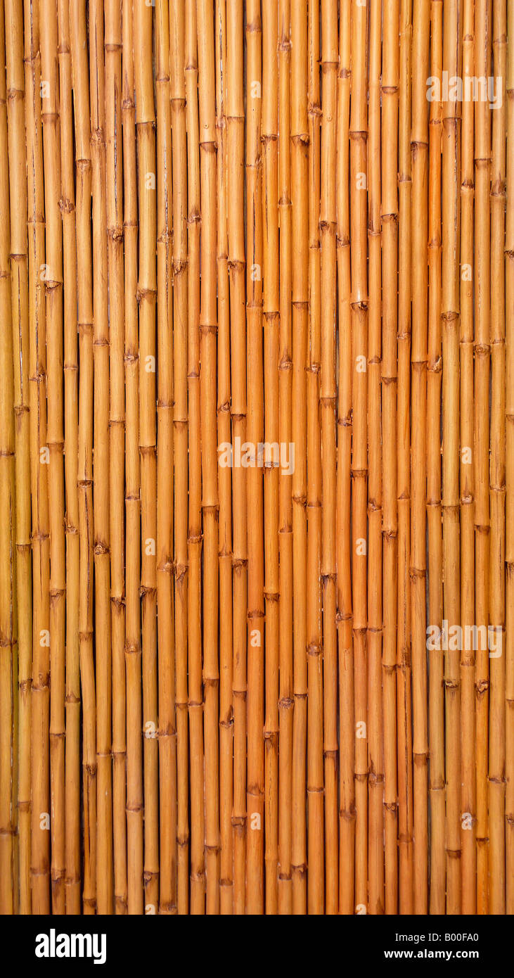 Umweltfreundliche leer Asian Bamboo Wall. Stockfoto