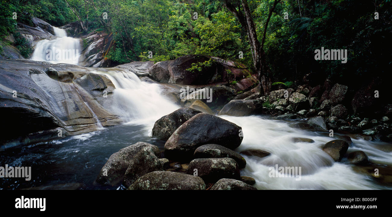 Josephine Falls Wooroonooran National Park-Queensland-Australien Stockfoto