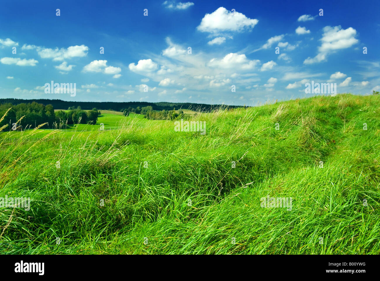 Gesättigt Sommer Landschaft - grüner Rasen auf dem Hügel. Masuren, Polen. Stockfoto