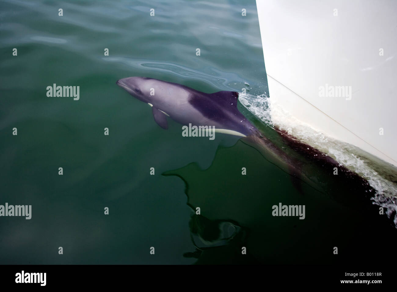 Erongo Region, Walvis Bay, Namibia. Die natürliche Lagune bietet einen reichhaltigen Lebensraum für eine vielfältige Palette von Flora und Fauna. Stockfoto