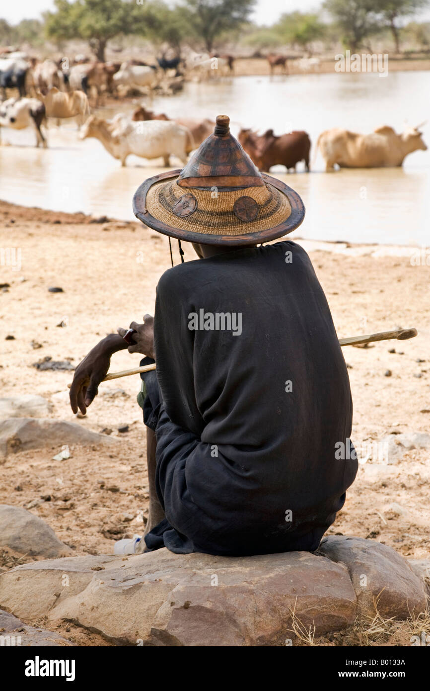 Mali, Mopti. Ein Fulani-Mann einen traditionellen Hut Uhren sein Vieh bei einem saisonalen Wasserloch zu trinken. Stockfoto