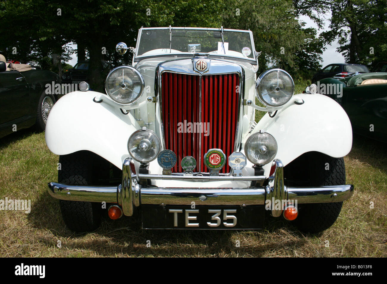 Weißen MG Sportwagen 50er Motorhaube. Chromstoßstange, roten Kühlergrill, Scheinwerfer. Horizontale Stockfoto