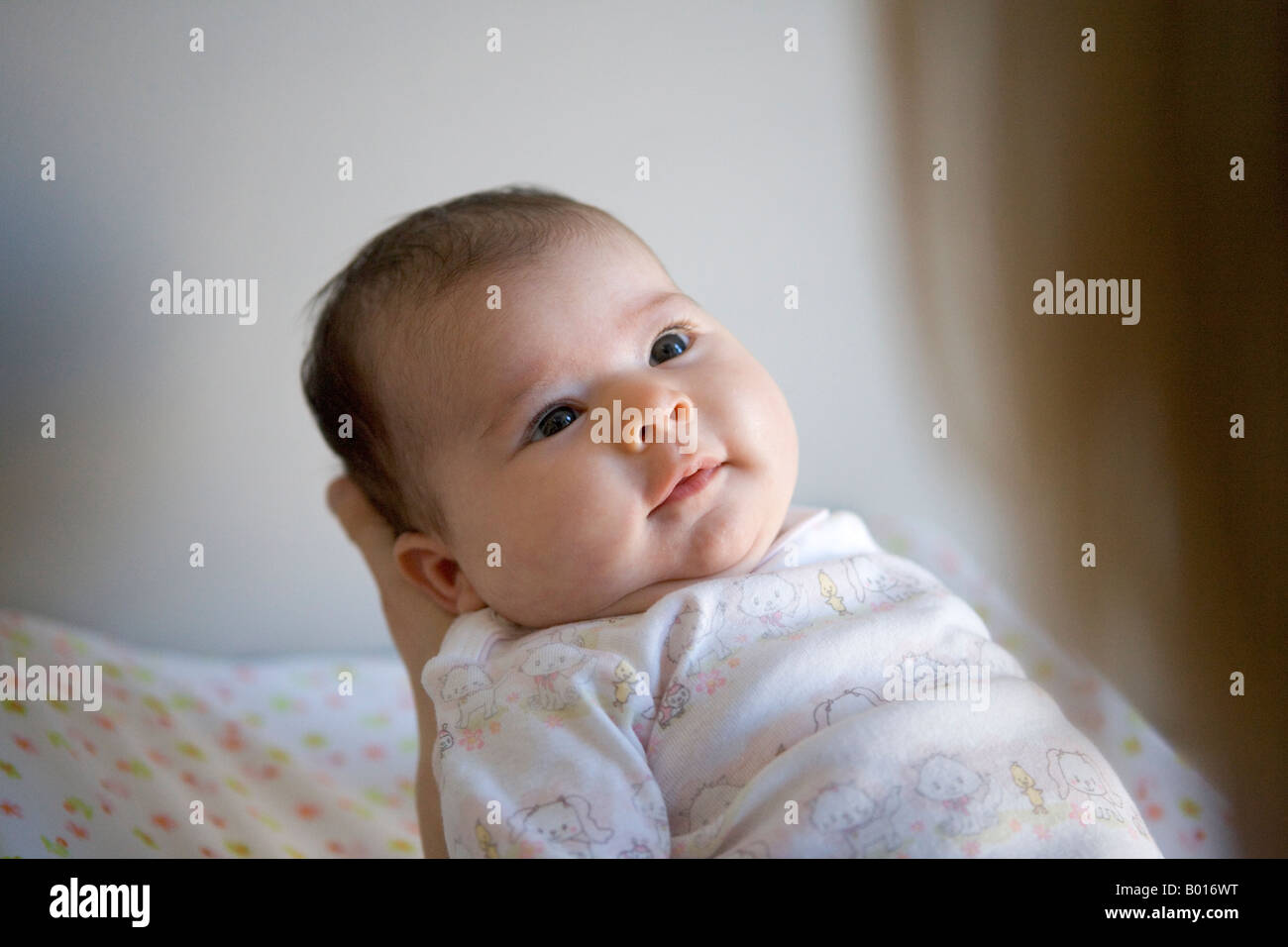 Porträt eines Neugeborenen Stockfoto