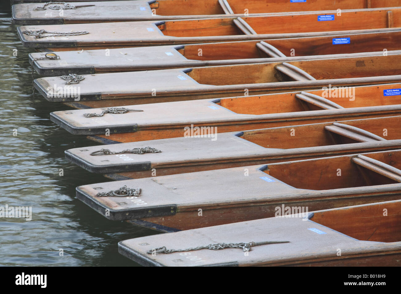 '-Reihe Punts"am Scudamores"Fluss Cam"in der Nähe von rührseliger Brücke Cambridge Stockfoto