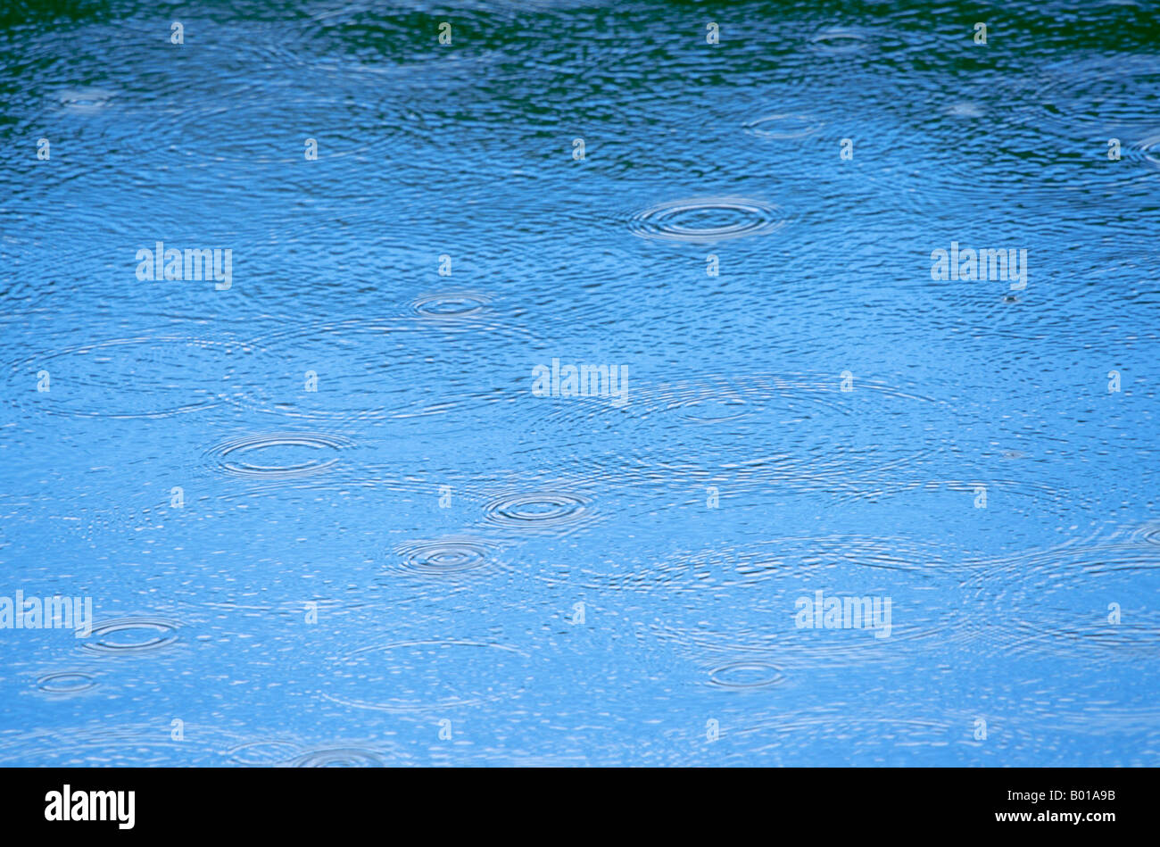 Regentropfen reflektiert blauen Himmel Stockfoto