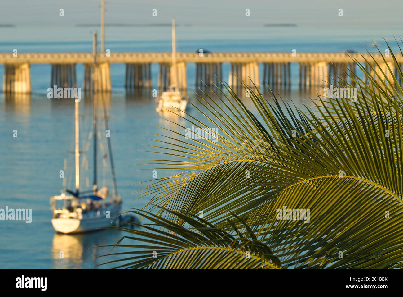 Palmen umrahmen Segelboote vor Overseas Highway, Bahia Honda State Park, Florida Keys, Florida verankert Stockfoto